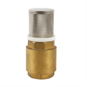 Copper check valve